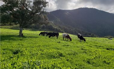 HERMOSA HACIENDA EN VENTA EN OTAVALO
