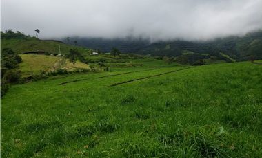 HERMOSA HACIENDA EN VENTA EN OTAVALO