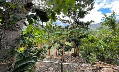 Vendo quinta en Malacatos