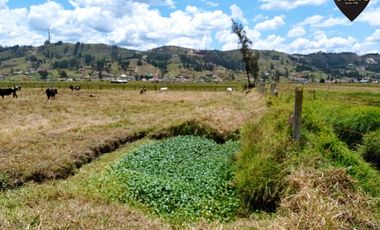Terreno de venta en Tarqui - Redondel de Cumbe – código:17813