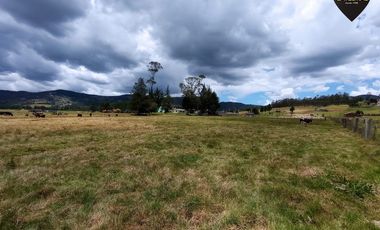 Terreno de venta en Tarqui - Redondel de Cumbe – código:17813