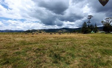 Terreno de venta en Tarqui - Redondel de Cumbe – código:17813