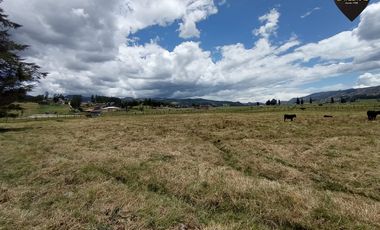 Terreno de venta en Tarqui - Redondel de Cumbe – código:17813