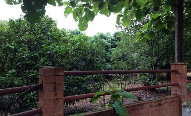 BEAUTIFUL 4 RAI OF LAND IN THE SERENE SETTING OF SANKAMPHAENG