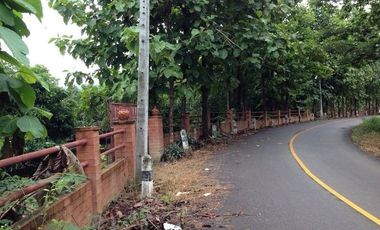 BEAUTIFUL 4 RAI OF LAND IN THE SERENE SETTING OF SANKAMPHAENG