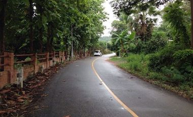 BEAUTIFUL 4 RAI OF LAND IN THE SERENE SETTING OF SANKAMPHAENG