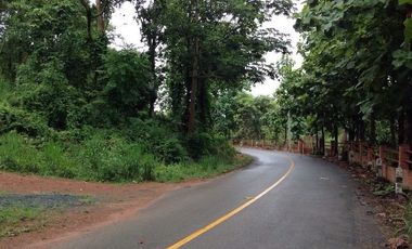 BEAUTIFUL 4 RAI OF LAND IN THE SERENE SETTING OF SANKAMPHAENG