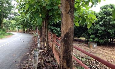 BEAUTIFUL 4 RAI OF LAND IN THE SERENE SETTING OF SANKAMPHAENG
