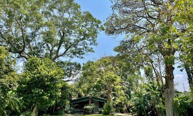 ¡OPORTUNIDAD GRAN TERRENO EN YAUTEPEC, MORELOS!