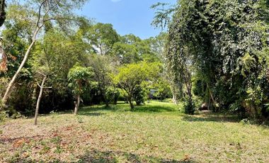 ¡OPORTUNIDAD GRAN TERRENO EN YAUTEPEC, MORELOS!