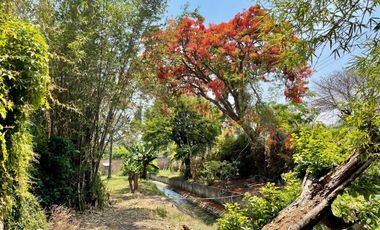 ¡OPORTUNIDAD GRAN TERRENO EN YAUTEPEC, MORELOS!