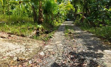 Rumah Murah Minimalis 5 unit lokasi jauh dari kebisingan KPR bisa