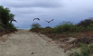 se vende terreno en Crucita