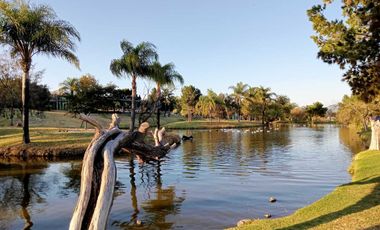 Casa en renta la Campiña del Bosque modelo  VILLA HERMES