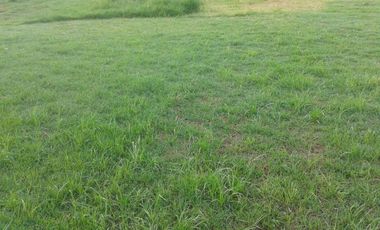 lote en arriendo/venta en la granja. Cod A1454