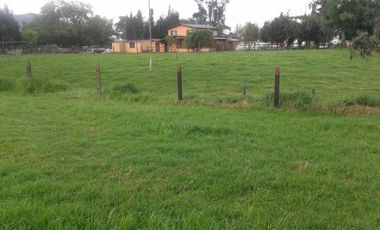 lote en arriendo/venta en la granja. Cod A1454