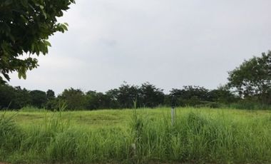 Prime Commercial Lot For Sale in Arca South, Taguig City