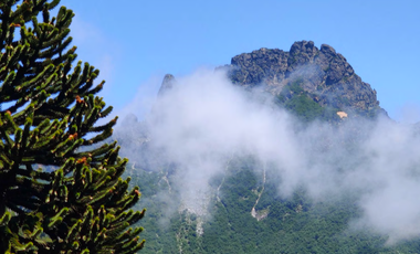 Agrícola en Venta en 4f75+9p Melipeuco