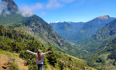 Agrícola en Venta en 4f75+9p Melipeuco