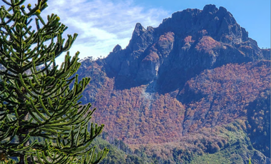 Agrícola en Venta en 4f75+9p Melipeuco