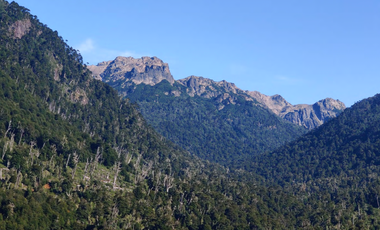 Agrícola en Venta en 4f75+9p Melipeuco