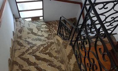 Departamento - Tigre