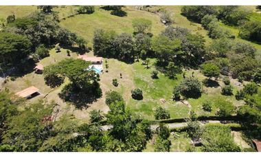 VENTA FINCA,VENECIA SUROESTE ANTIOQUEÑO