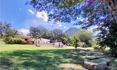 VENTA FINCA,VENECIA SUROESTE ANTIOQUEÑO