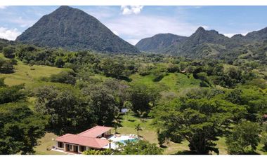 VENTA FINCA,VENECIA SUROESTE ANTIOQUEÑO