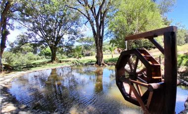 VENTA FINCA,VENECIA SUROESTE ANTIOQUEÑO