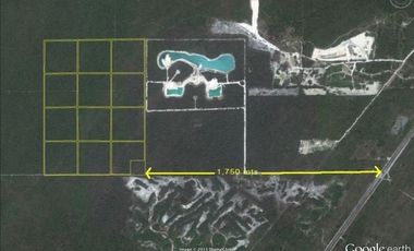 Terreno de 74 Hectáreas en Puerto Morelos, Quintana Roo