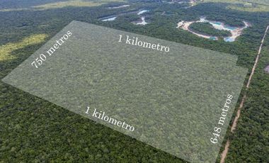 Terreno de 74 Hectáreas en Puerto Morelos, Quintana Roo