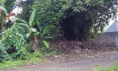 Land for lease in Buwit near Canggu Bali