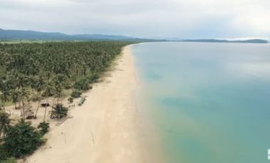 For Sale: San Vicente Long Beach Vacant Land in Palawan