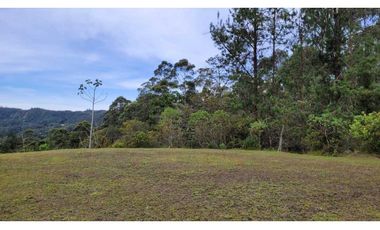 Venta de Lote En Unidad Cerrada Juanito Laguna El Retiro