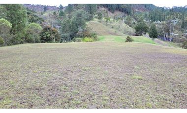 Venta de Lote En Unidad Cerrada Juanito Laguna El Retiro