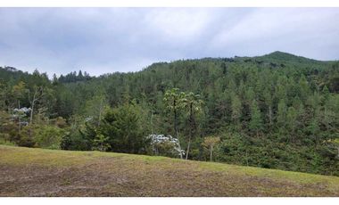 Venta de Lote En Unidad Cerrada Juanito Laguna El Retiro