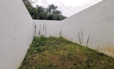 Disewakan Ruko Citra Bussiness Avenue Citra Maja Raya 2 - Unit Baru Murah Bagus Area Strategis