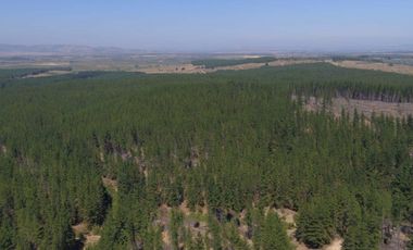 Parcela en Cauquenes