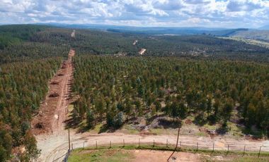 Parcela en Cauquenes