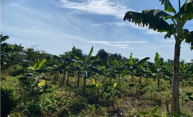VENDO FINCA DE 05 HECTAREAS EN BOCAS DEL TORO