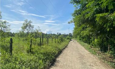 VENDO FINCA DE 05 HECTAREAS EN BOCAS DEL TORO
