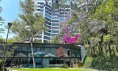 RENTA DEPTO LOMAS DE CHAPULTEPEC 3 RECAMARAS 445Mts