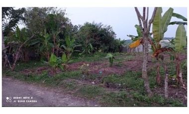 FOR SALE TANAH LOKASI DESA MAJA KABUPATEN LEBAK BANTEN