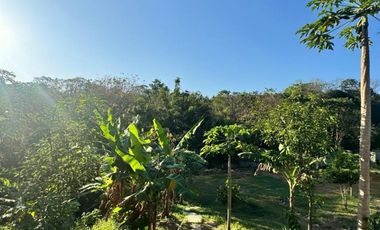 finca en venta en vía minca. Cod V1461