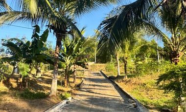 finca en venta en vía minca. Cod V1461