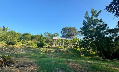 finca en venta en vía minca. Cod V1461