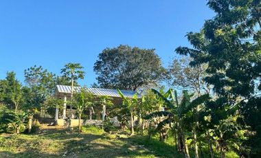 finca en venta en vía minca. Cod V1461