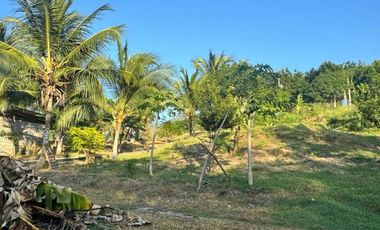 finca en venta en vía minca. Cod V1461
