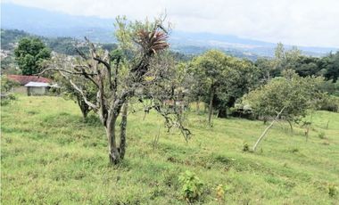 ESPECTACULAR LOTE PARA URBANIZAR EN SILVANIA